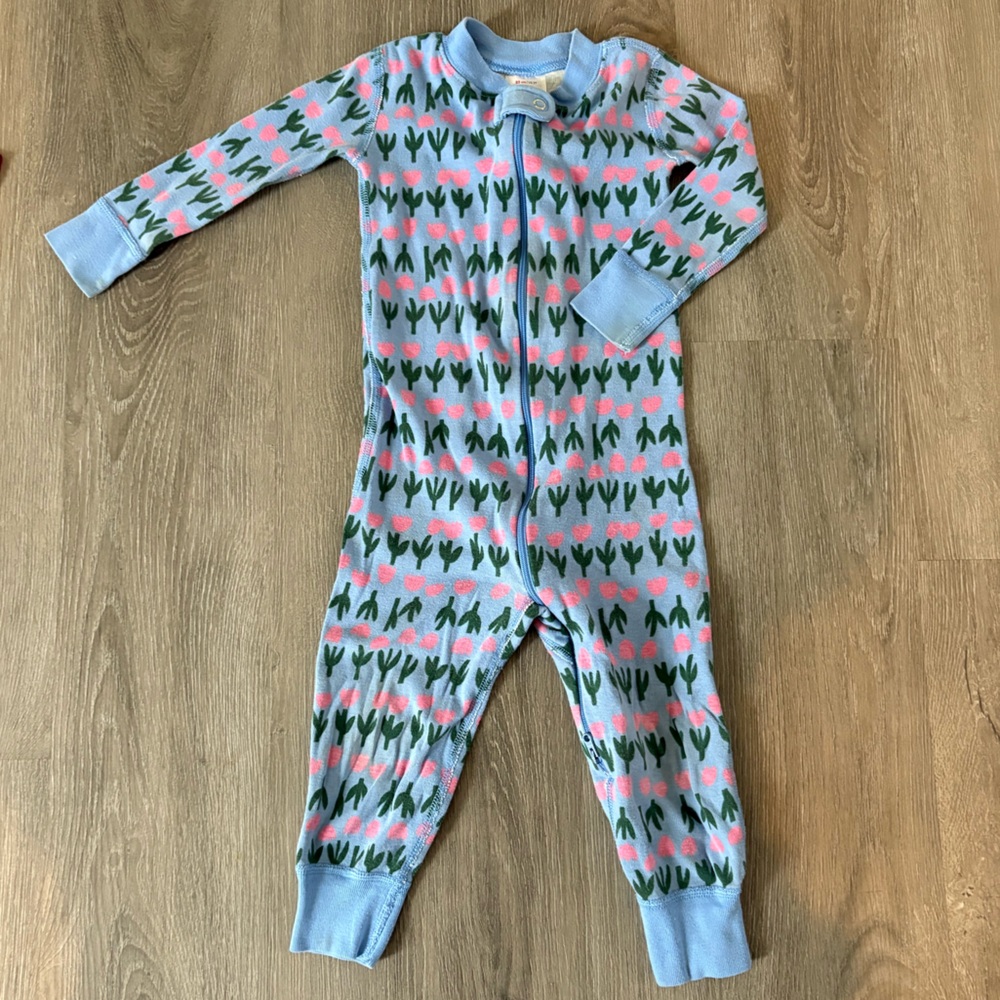 Hanna Andersson Light Blue Footie with Pink & Green Tulip Print